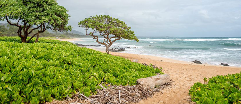 Wyndham Resorts - Kauai Beach Villas